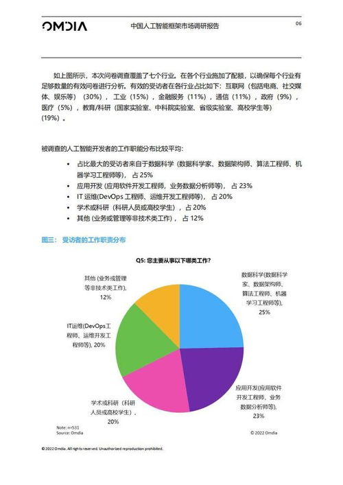 30页 中国人工智能框架市场调研报告