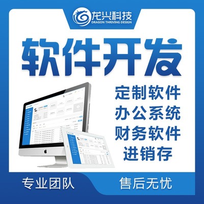 定制软件开发 为企业量身打造的数字解决方案